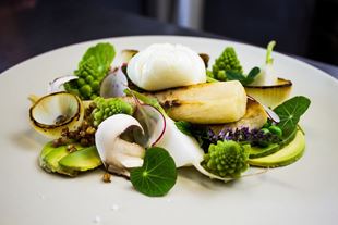 Obrázek pro kategorii Moderní gastronomie - práce žáků na zz